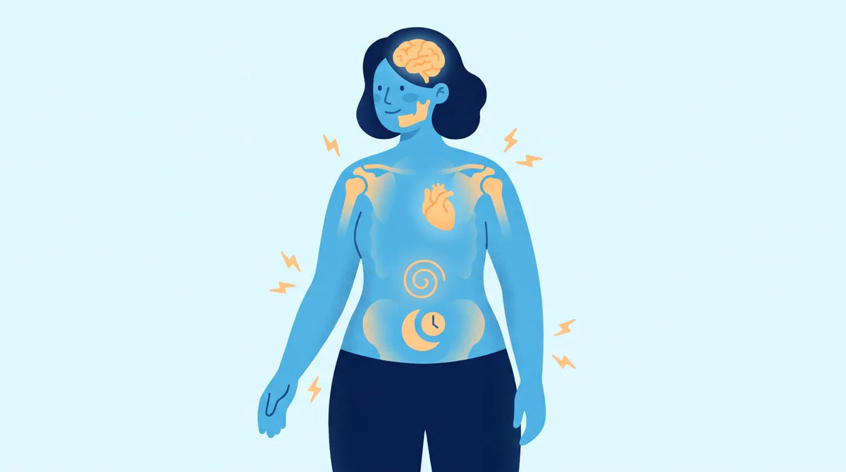 Illustration : les zones du corps touchées par le stress