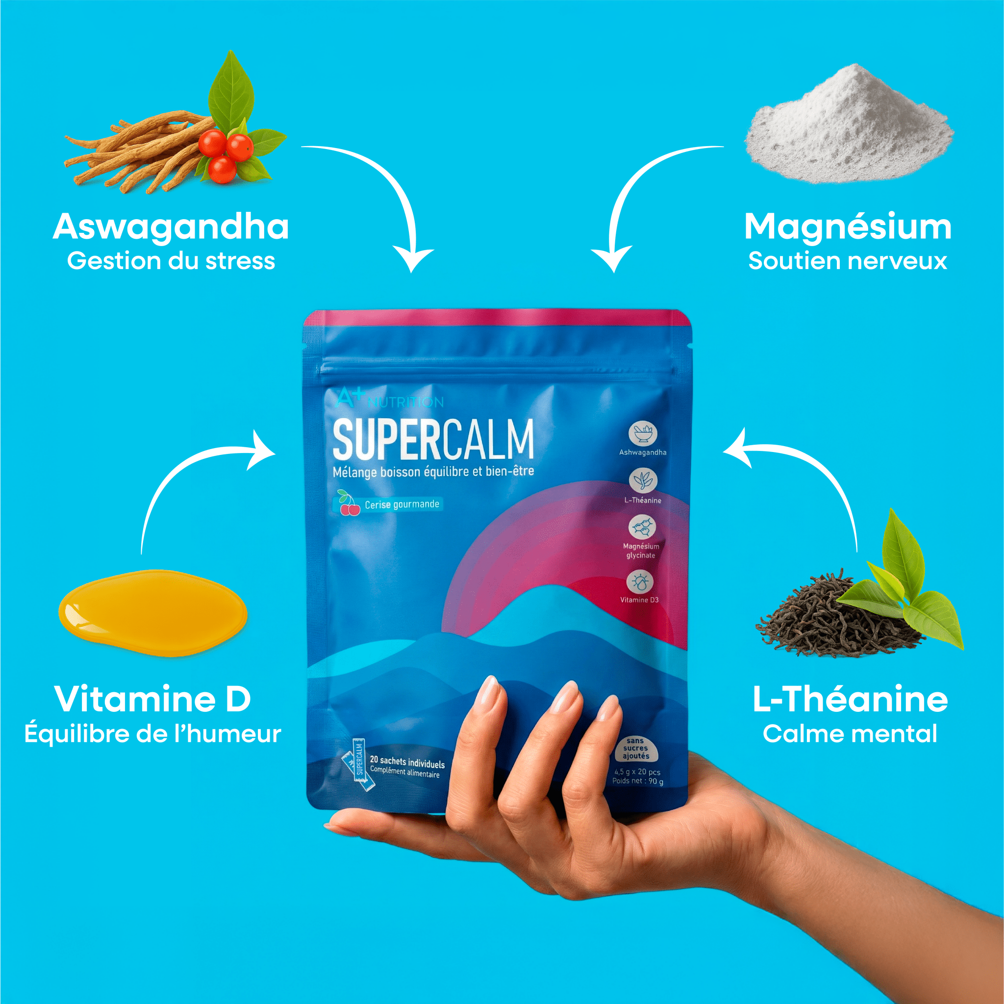 Équilibre et bien-être au quotidien