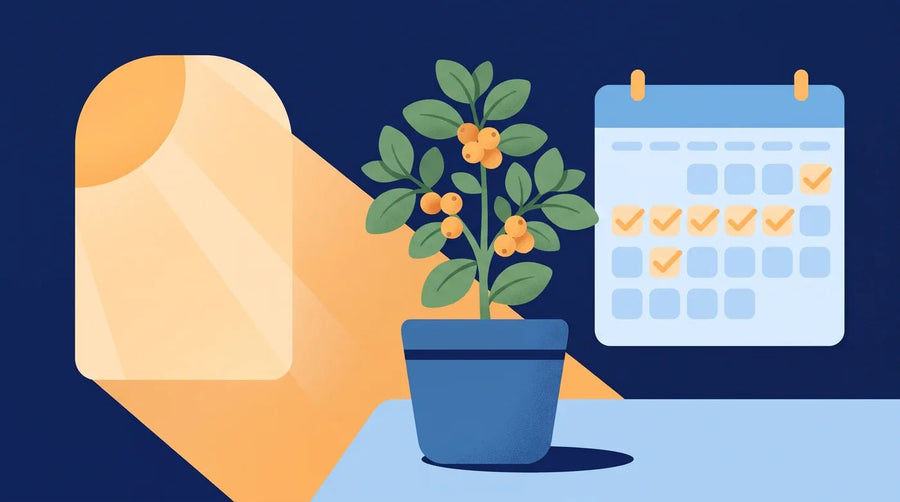 Illustration : plant d'ashwagandha et calendrier coché