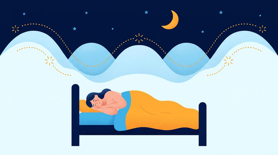 Illustration : femme endormie sous une ligne de cycles de sommeil et un ciel étoilé