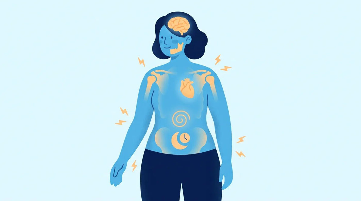 Illustration : les zones du corps touchées par le stress