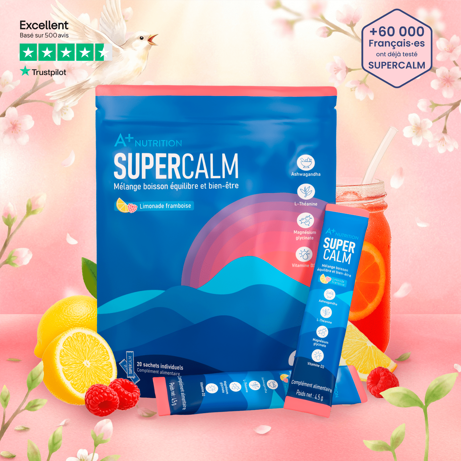 Équilibre et bien-être au quotidien